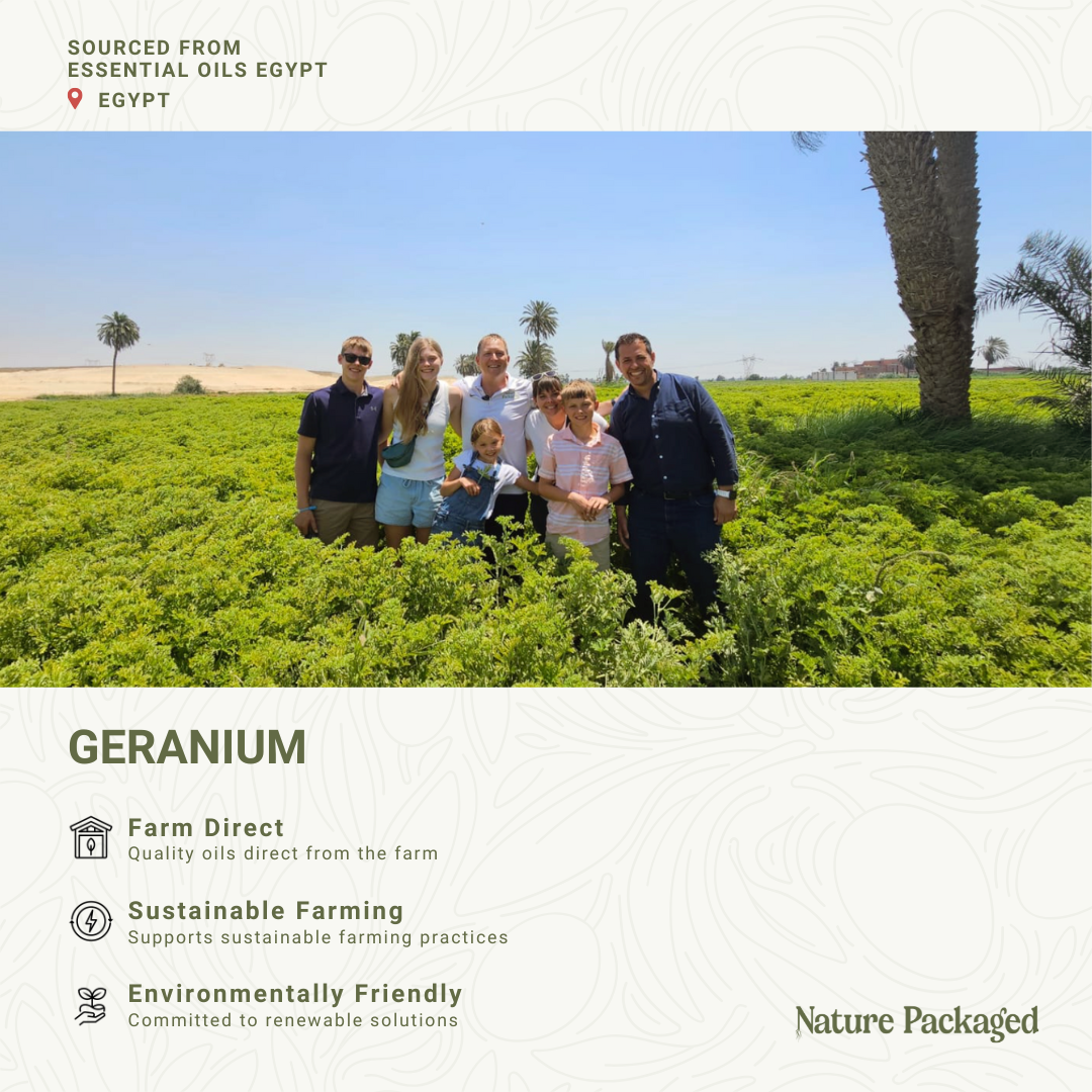 Nature Packaged - Wholesale Essential Oil - Geranium Essential Oil - 100% Pure - Farm-Direct Sourcing6