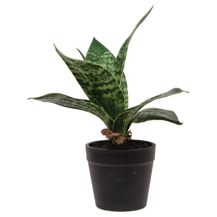 Col House Designs - Wholesale Artificial Plant - Potted Dark Green Snake Plant0