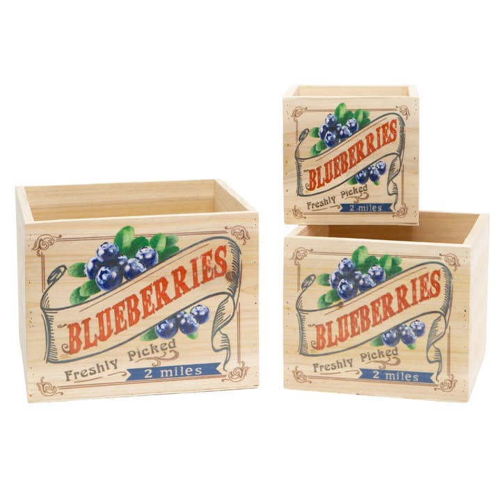 Assorted Blueberry Wood Crates - Set of 3 for wholesale by Jacobson