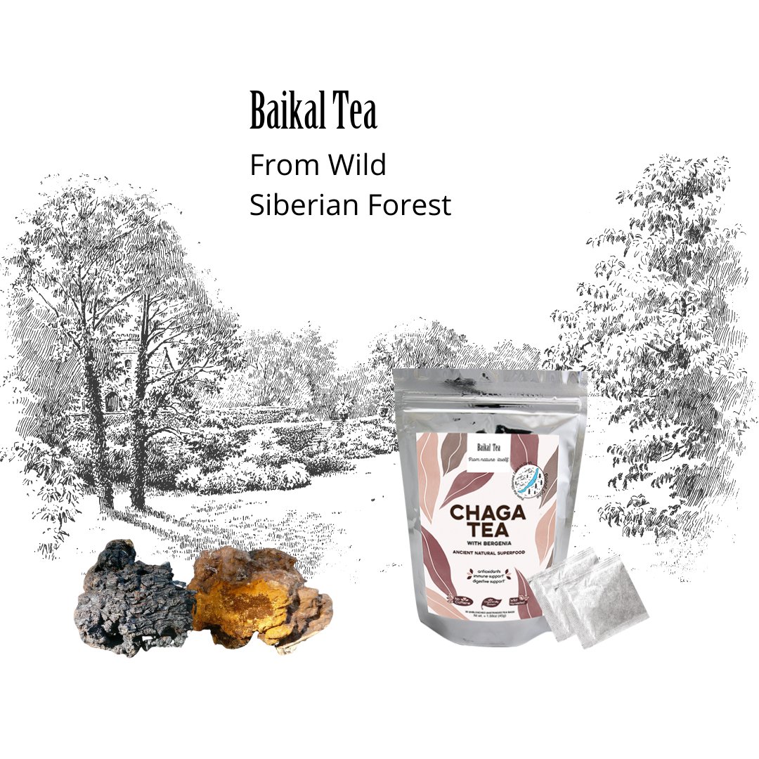 Baikal Tea – Chá de saúde/Detox por atacado – Chá Chaga com Bergenia13