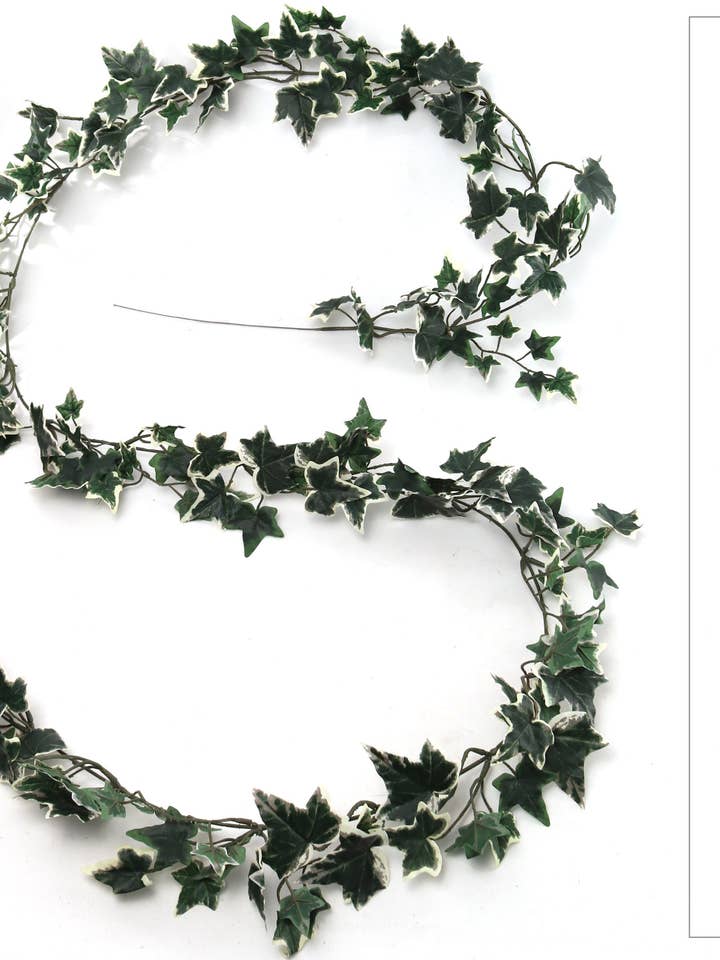 Ghirlanda di Edera Inglese Variegata da 6' con 185 Foglie per la vendita all'ingrosso da parte di Larksilk