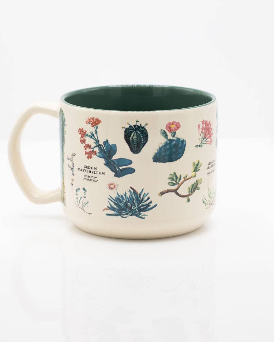 Cognitive Surplus EU - Wholesale Coffee Mug - Succulents Ceramic Mug (Case of 4)1