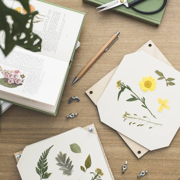 Studio Wald - Wholesale DIY Craft Kit - Flower Press - Abstract