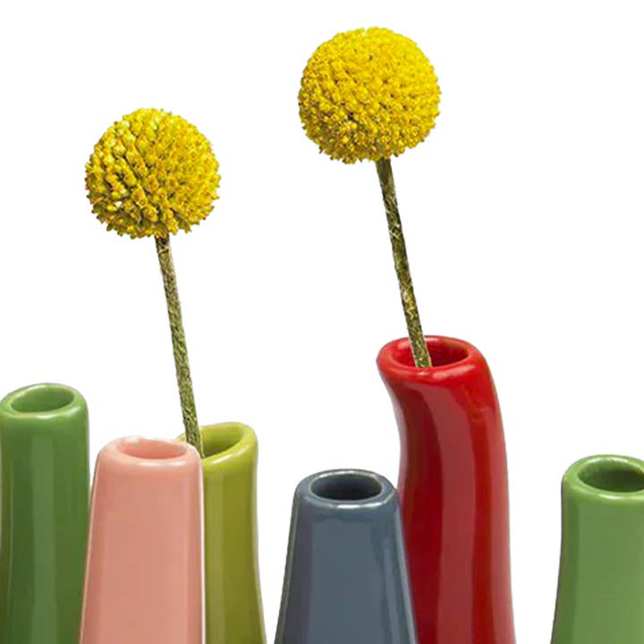 Chive - Wholesale Vase - Pooley Colorful Bud Vase For Flower Arranging Rectangular17