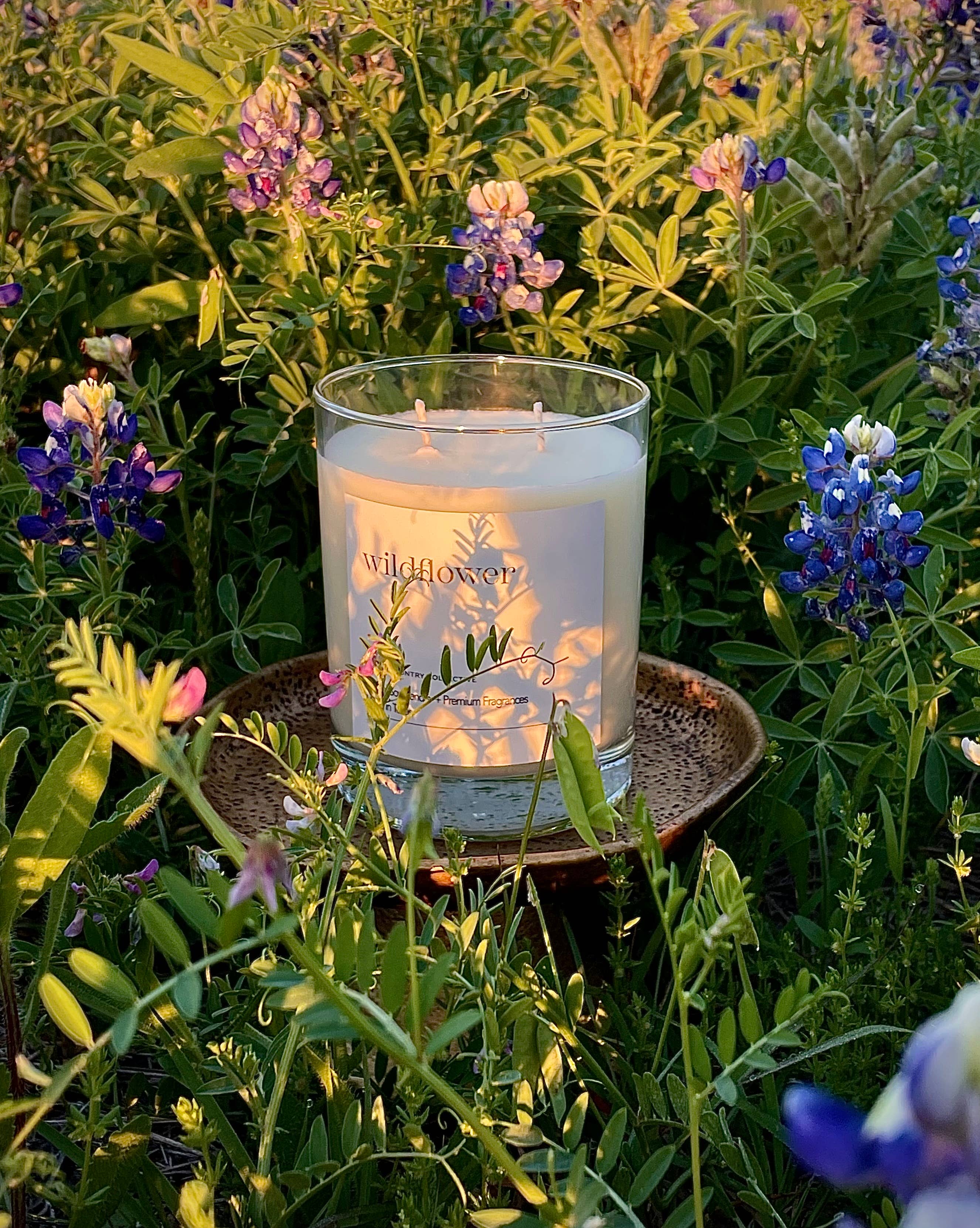 Hill Country Collective - Wholesale Jar/Filled Candle - Wildflower | Floral + Verdant | Elevated Soy Candle, 11oz3