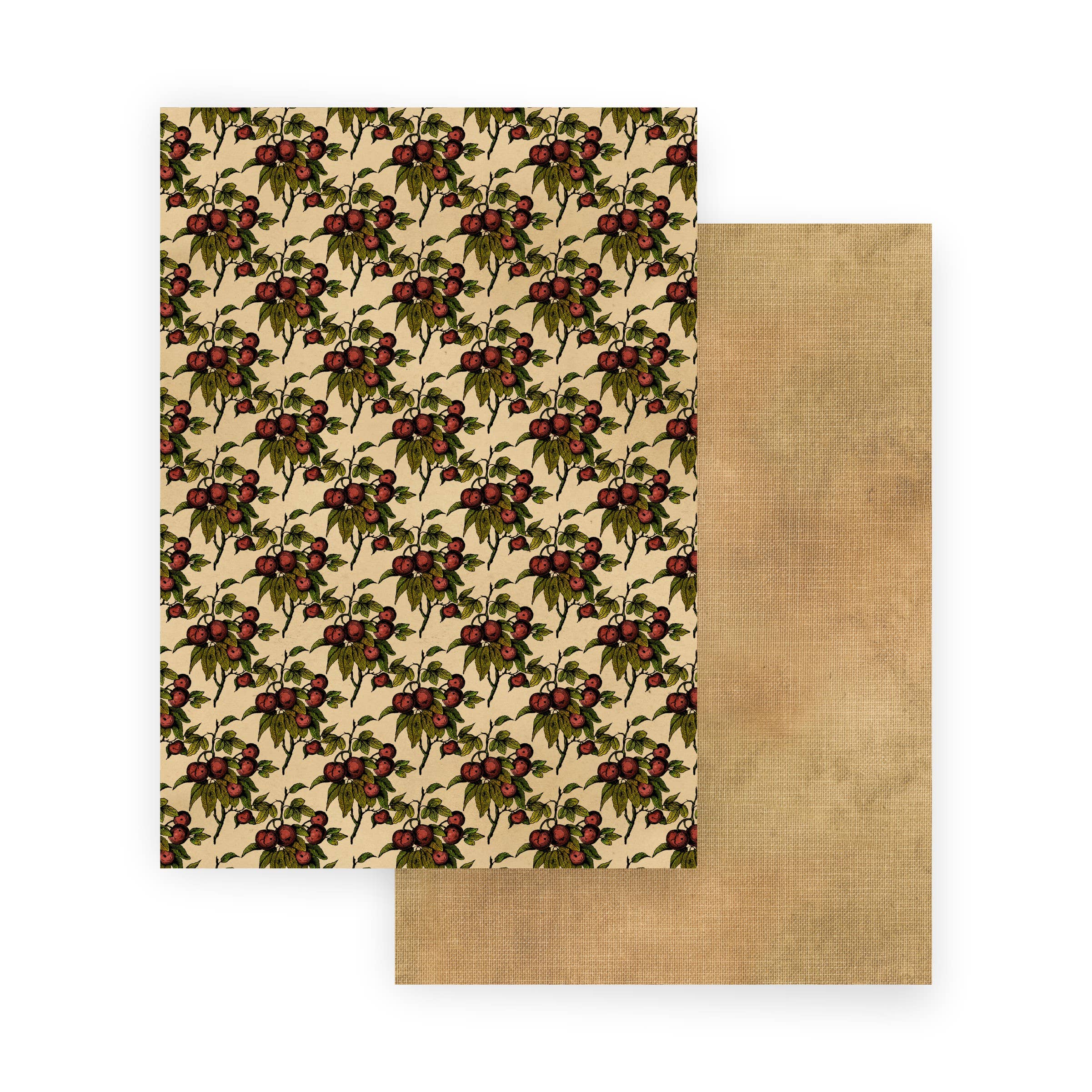 European Excellency - Wholesale Scrapbook - Scrapbooking Paper - Vintage Patterns41