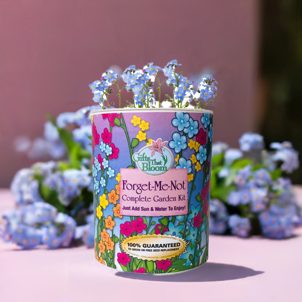 Gifts That Bloom - Wholesale Plant Seeds - Forget-Me-Not Garden Grocan Seed Kit1