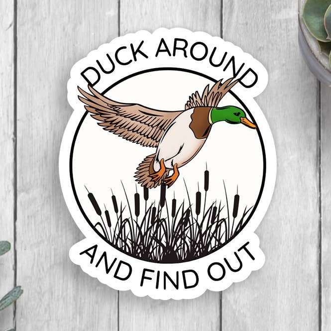 Expression Design Co - Wholesale Sticker - Duck Around And Find Out Vinyl Sticker0