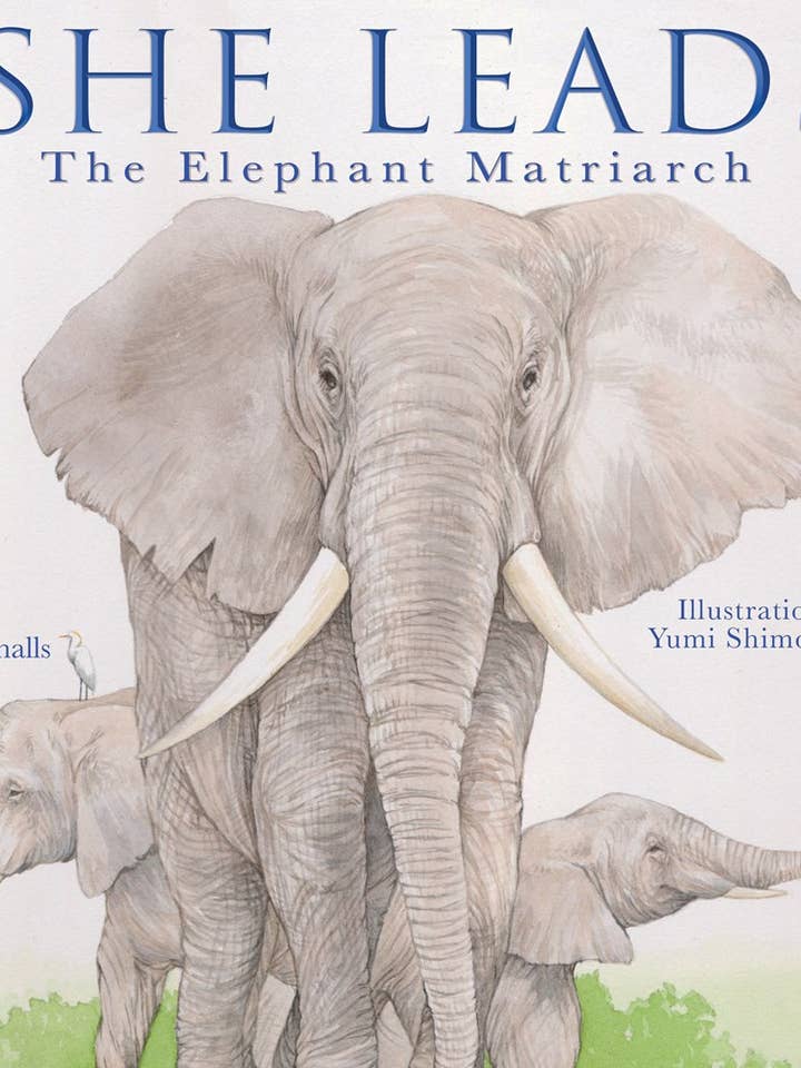 She Leads: The Elephant Matriarch for wholesale by Familius, LLC