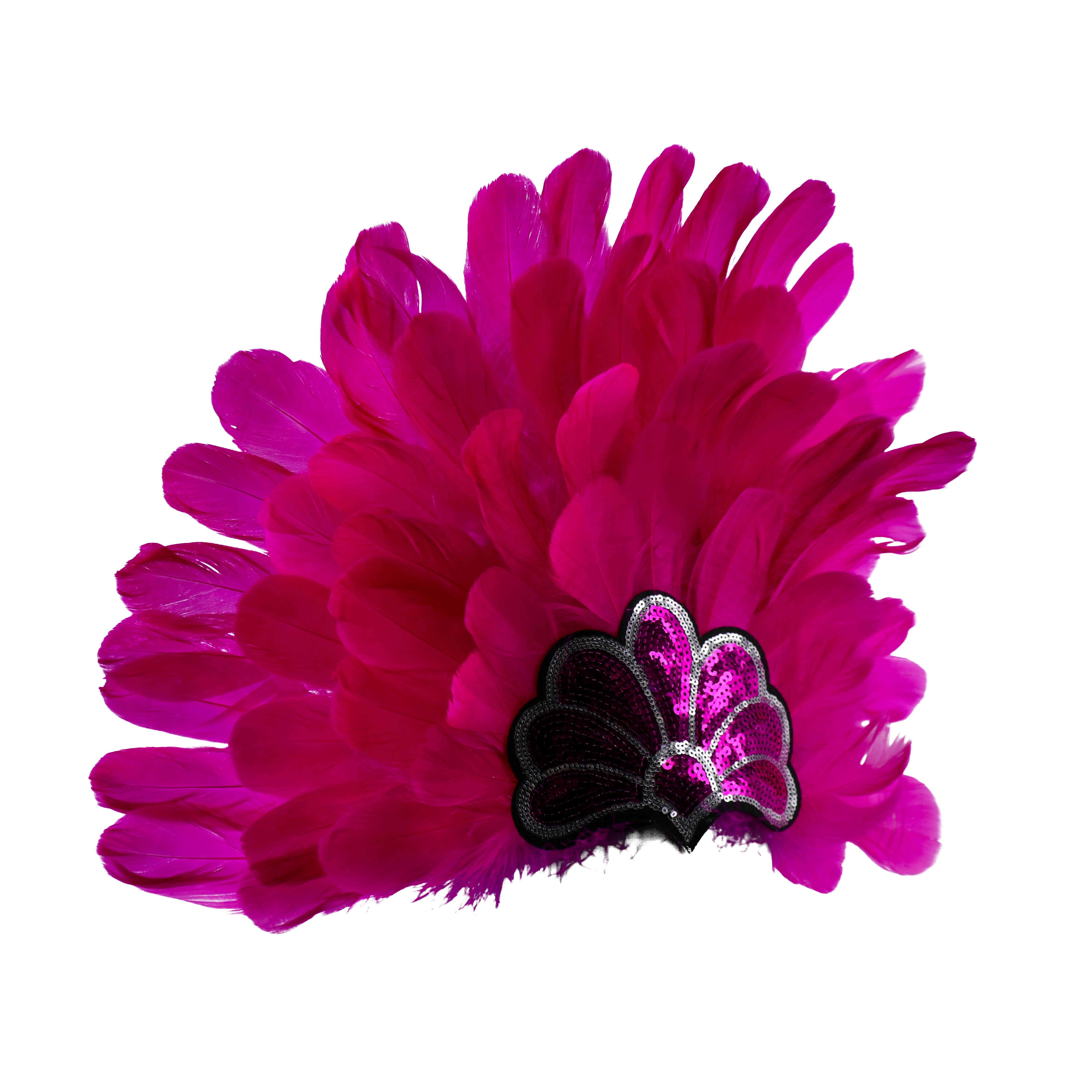 Western Fashion - Wholesale Costume - Women's - samba feather headdress8