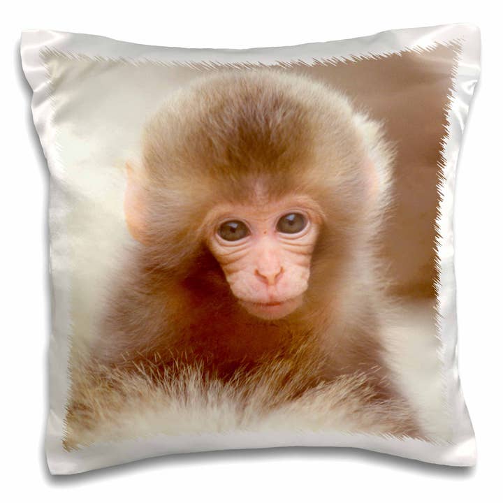 3dRose, Japan, Nagano, Jigokudani, Sne Abeunge -AS15 RTI0457 - Rob Tilley, Pudebetræk for engroshandel hos 3dRose