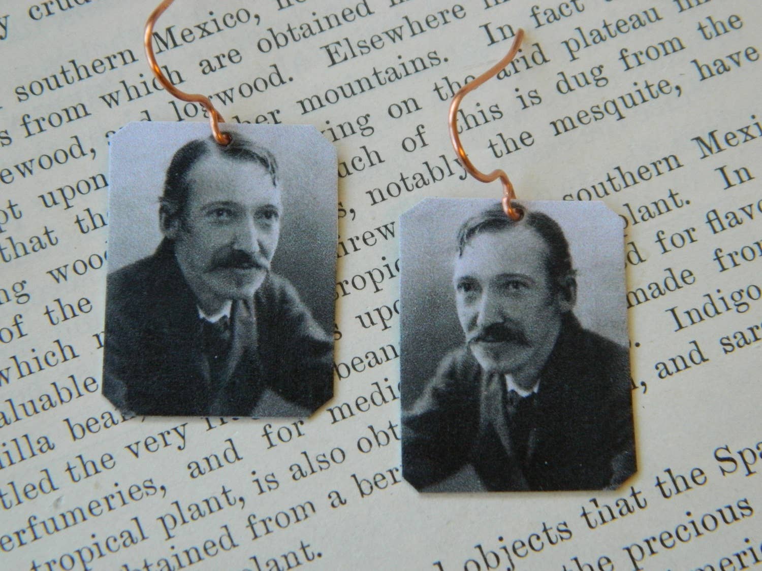 Sarah Wood Studio - Wholesale Dangle Earrings - Earrings Robert Louis Stevenson0
