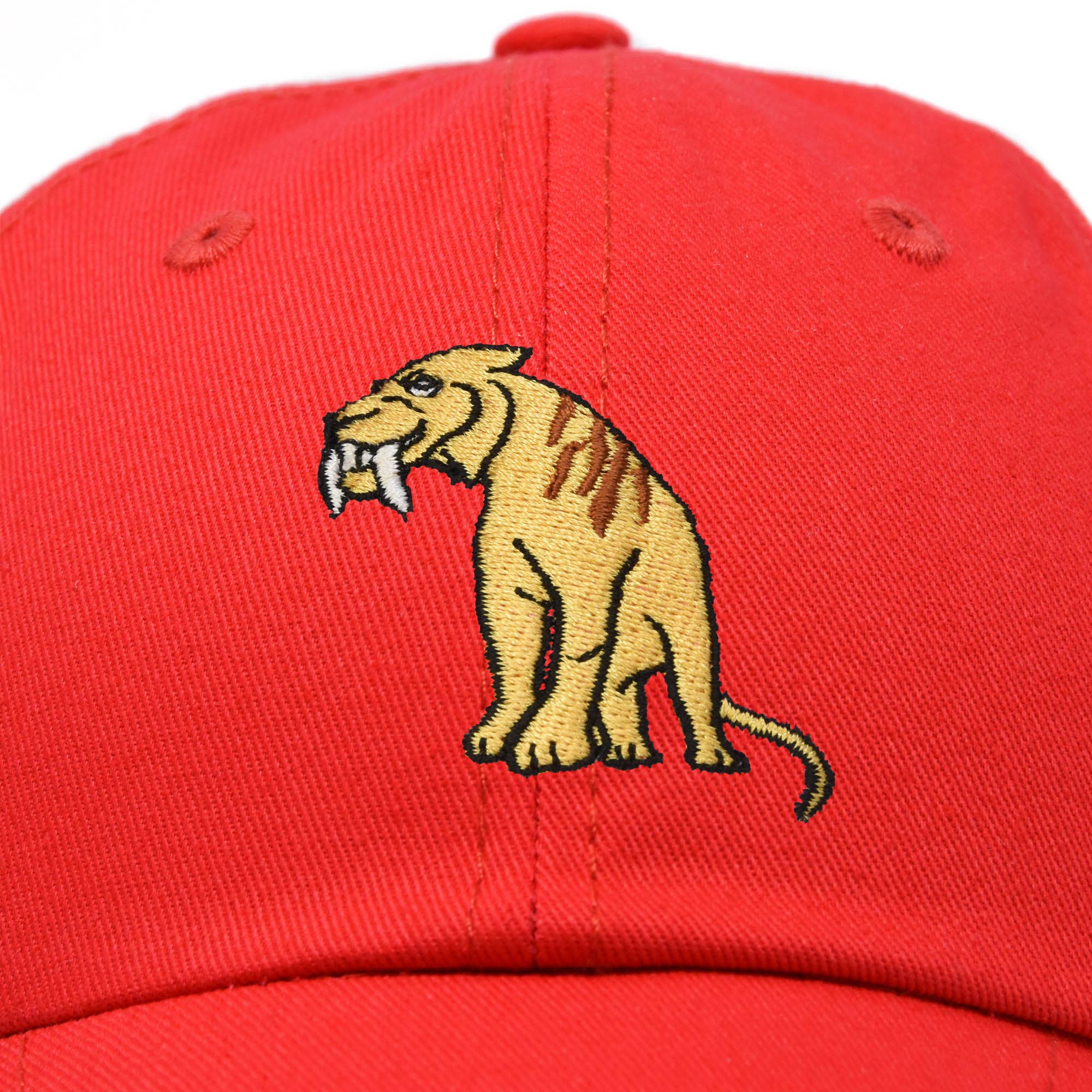 Dalix – Boné de beisebol – Criança por atacado – Boné infantil Dalix Sabertooth Tiger para meninos e meninas37