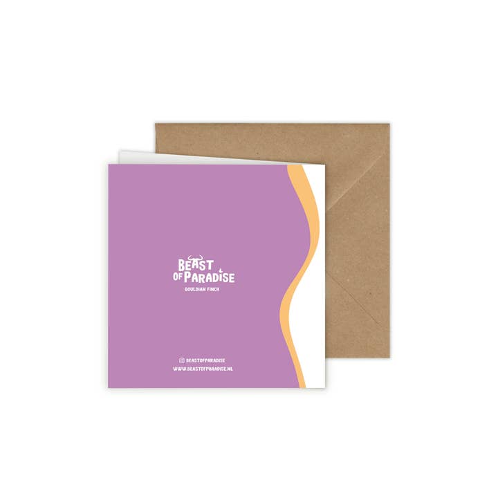 Beast of Paradise - Vendita all'ingrosso Biglietti di auguri - Biglietti di Auguri con Uccelli, Set di 10 Biglietti, Biglietti di Auguri con Animali7