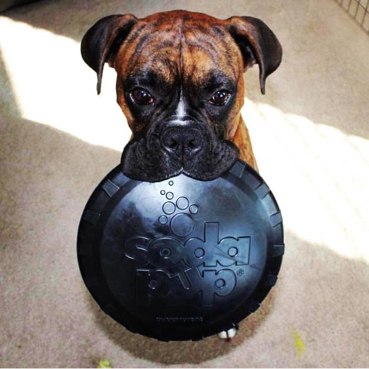 SodaPup Dog Toys - Wholesale Apporteerbal voor honden - Hond - SP Magnum Flessentop Flyer - Vliegend Speelgoed - Groot - Zwart