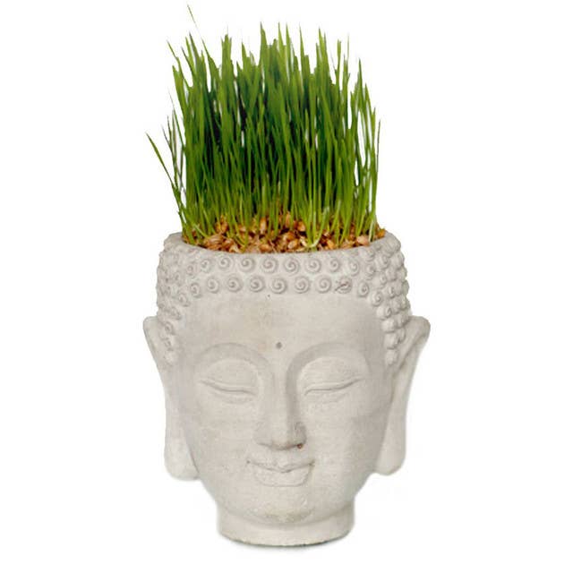 Vagabond Vintage - Wholesale Plant Pot - Cement Buddha Head Planter1