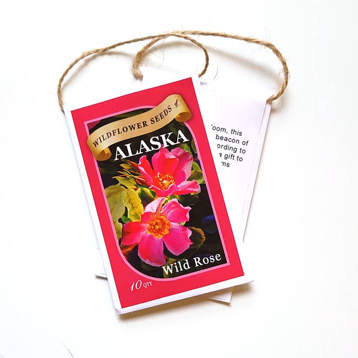 Whitworth Gallery - Wholesale Plant Seeds - Alaskan Wild Rose Wildflower Seed Packets1