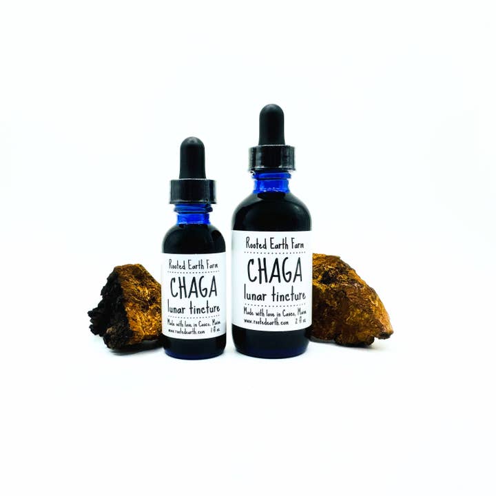 Rooted Earth Farm + Apothecary - Wholesale Tincture - Maine Chaga Tincture - 2 Size Options