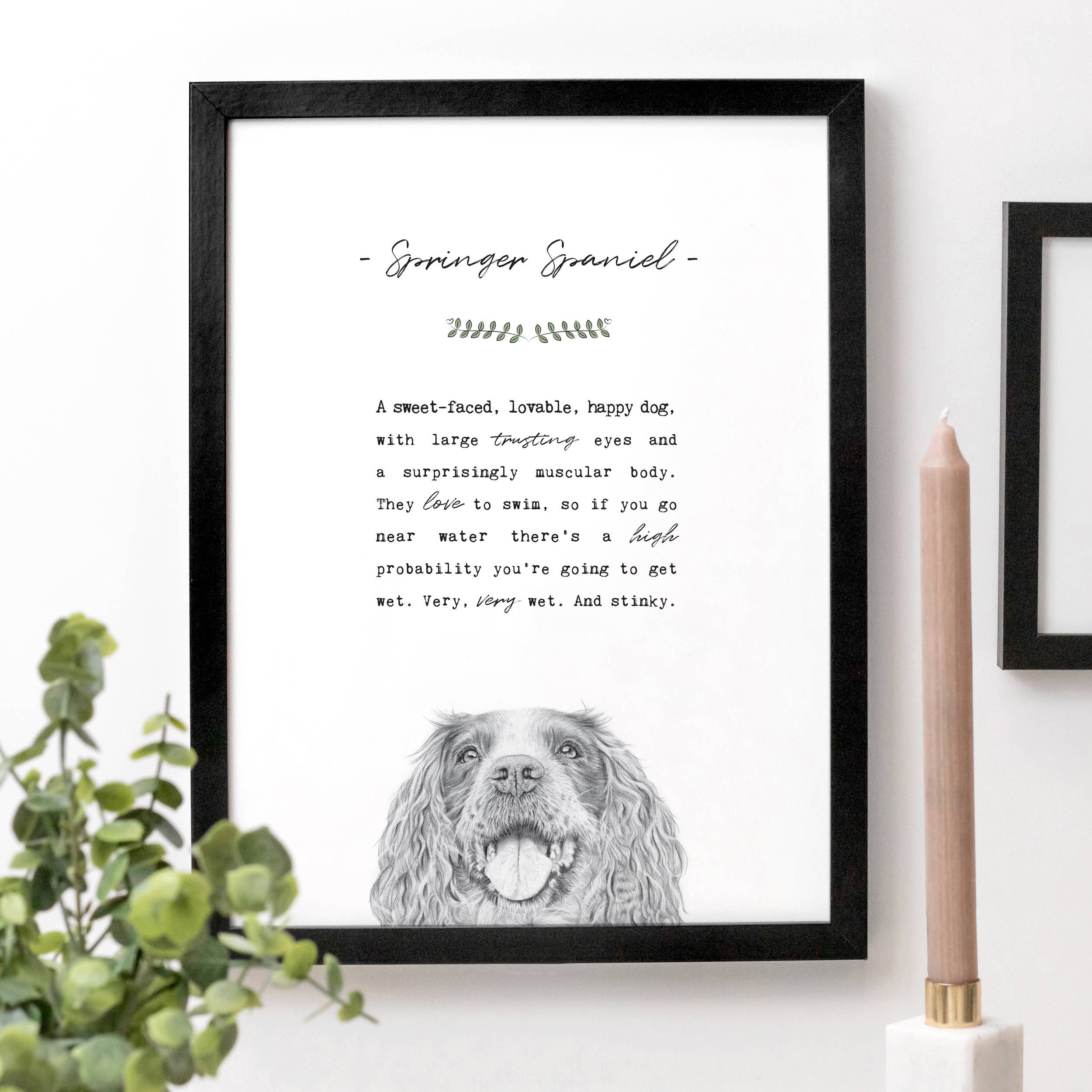 Coulson Macleod (U.S. Duties Paid) - Wholesale Art Print - Best-Selling 'Pooch' Dog Prints with Wooden Display Box18