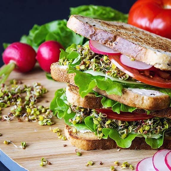 Food To Live - Wholesale Plant seeds - Salad Mix of Sprouting Seeds – Raw, Rich Germination Rate3