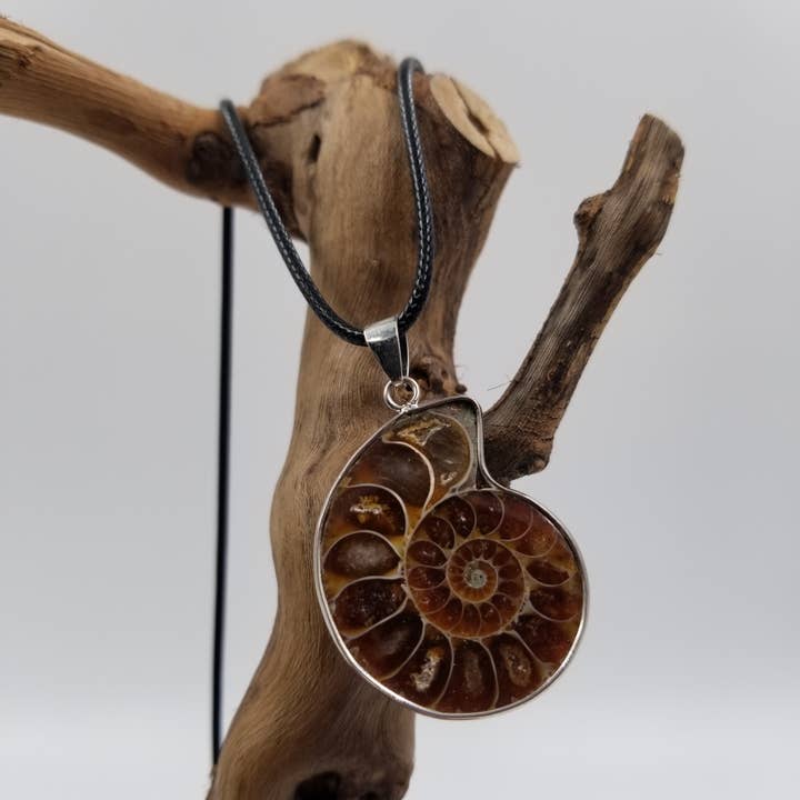 CHAKRA JEWELRY - Wholesale Pendant/Charm Necklace - Natural Conch Fossil Necklace