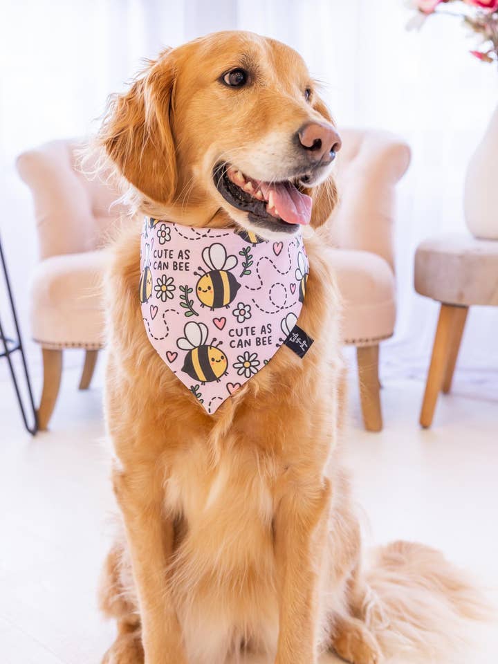 Cute As Can Bee Dog Bandana , Cute Summer Dog Accessory for wholesale by Tails Up, Pup