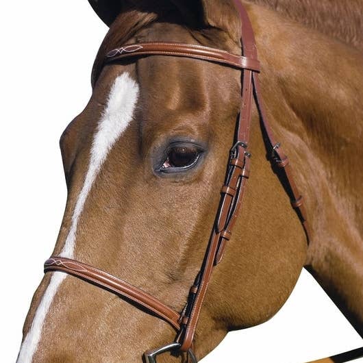 Henri de Rivel Pro Fancy Raised Bridle With Laced Reins for wholesale by JPC Equestrian