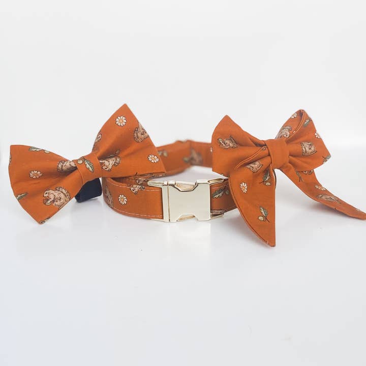 doggish - Wholesale Pet Collar - Dog - Nuts for fall dog collar pumpkin squirrels leaves and daisies2