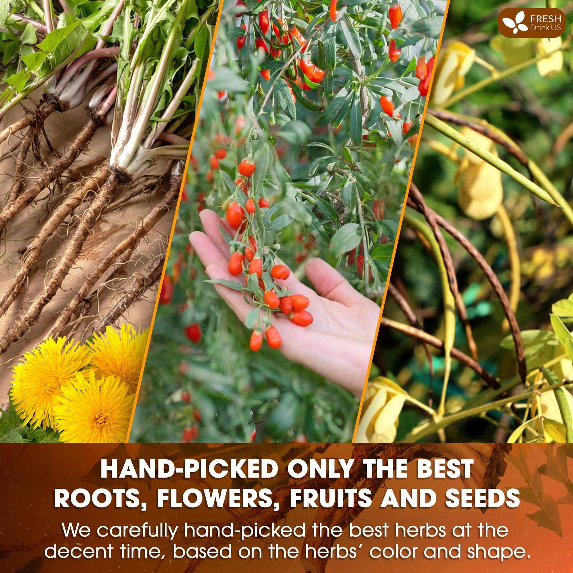 Naomi's Happy Place Shop – wholesale Health/detox tea – Dandelion Wolfberry Tea, 7 Herbal Ingredients5