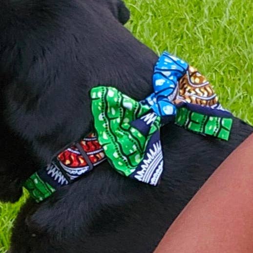 Kingdom Bowtie for wholesale by Black Barks Pet Collective