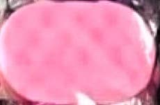 The Bubble Collective – wholesale Bath pouf/sponge – Soap filled exfoliating sponge6