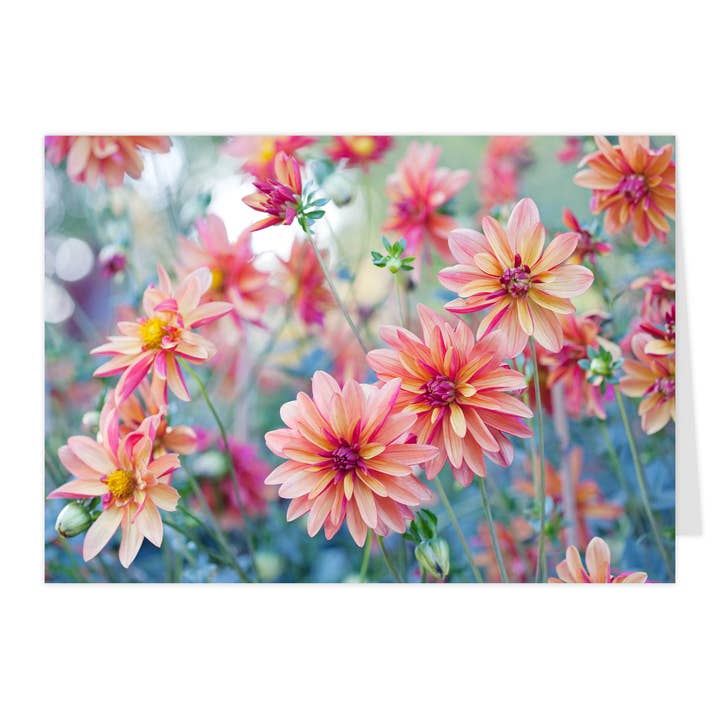 Biglietto pieghevole midi "Giardino di dalie selvatiche" per la vendita all'ingrosso da parte di paruspaper. nutzfeine papeterie