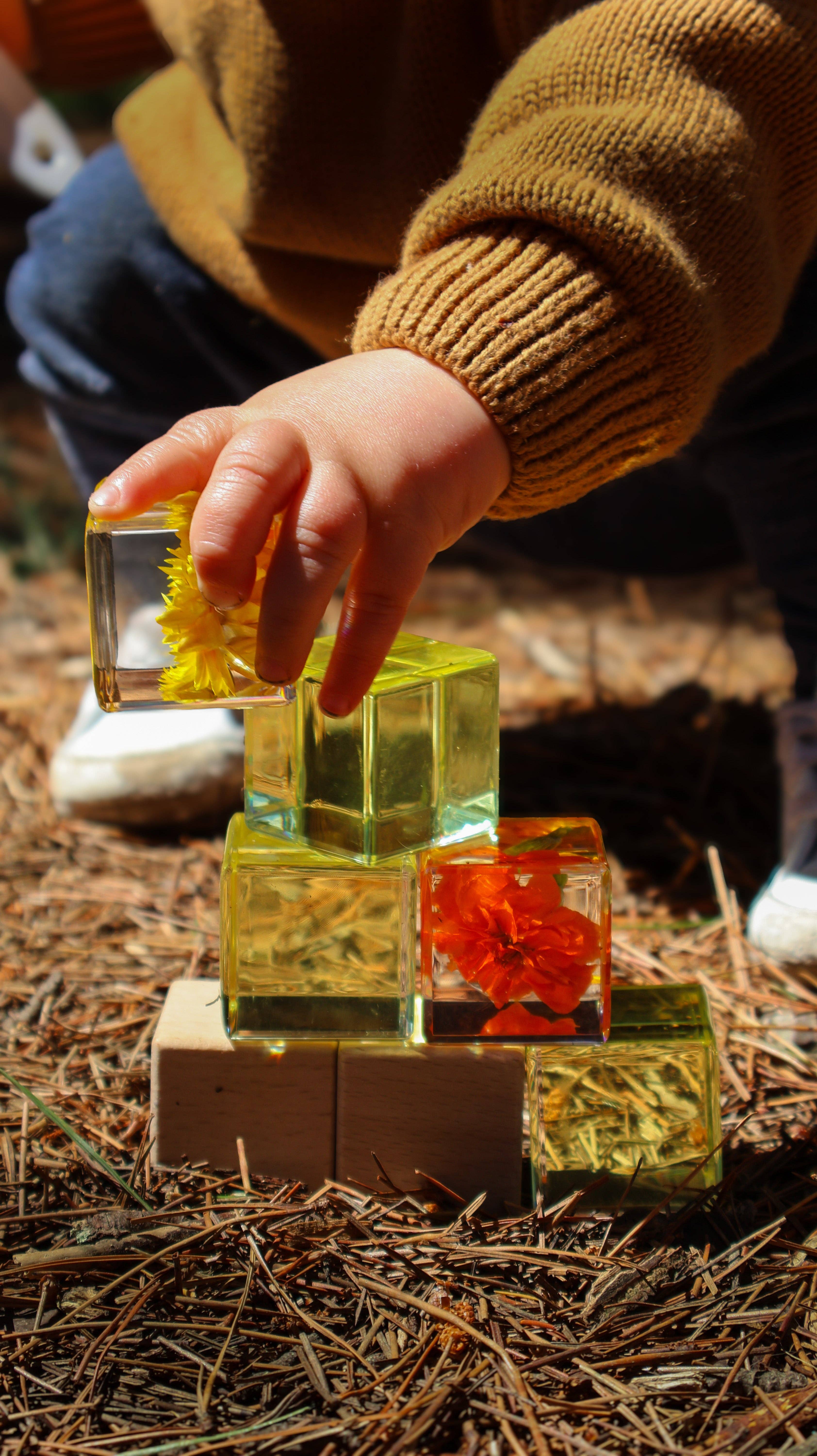 Our Earth Life - Vente Décorations de table - Cube de spécimen de fleur de souci1