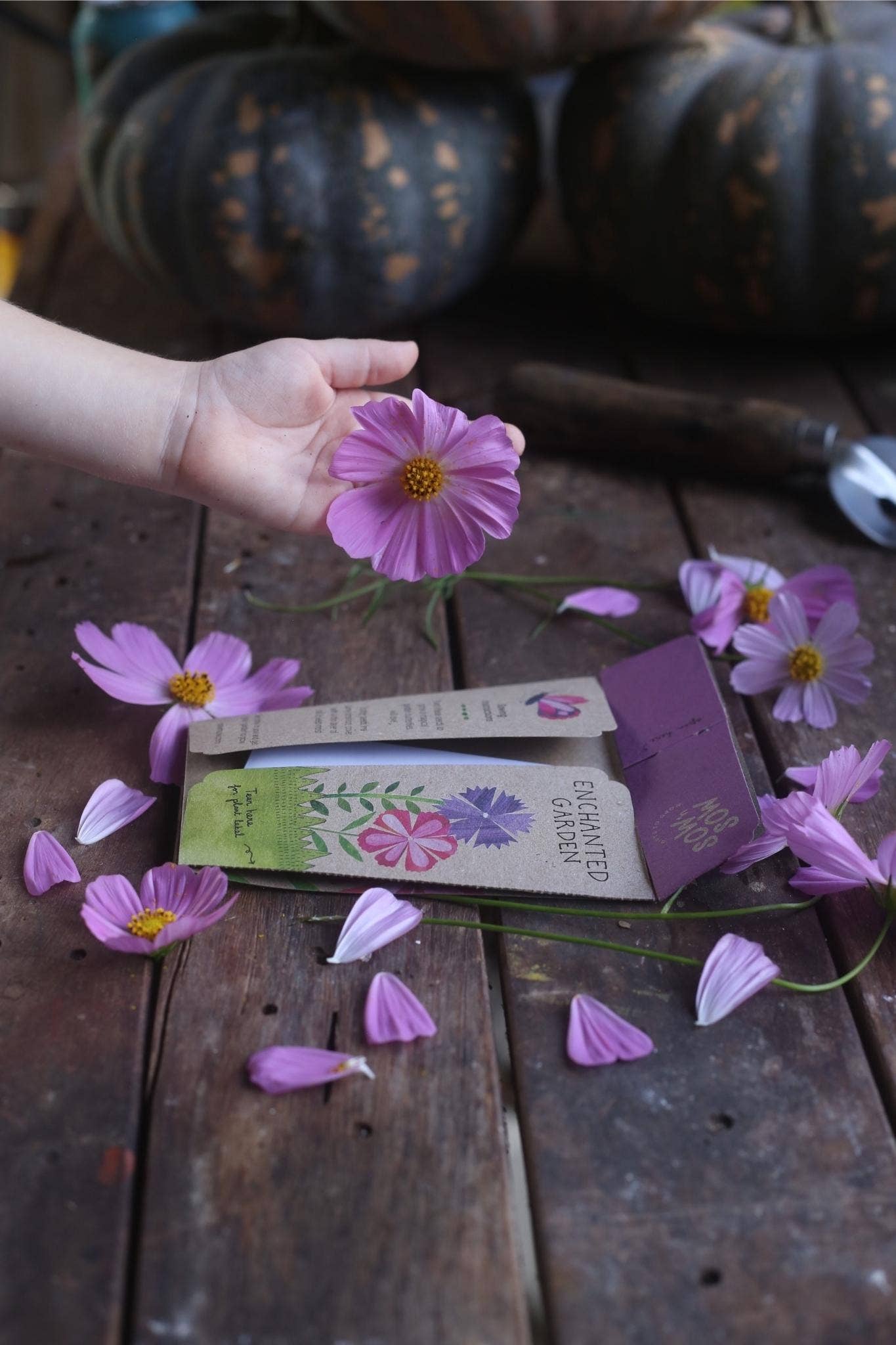 Sow 'n Sow - Wholesale Plant seeds - Enchanted Garden Gift of Seeds (Australia Only)3