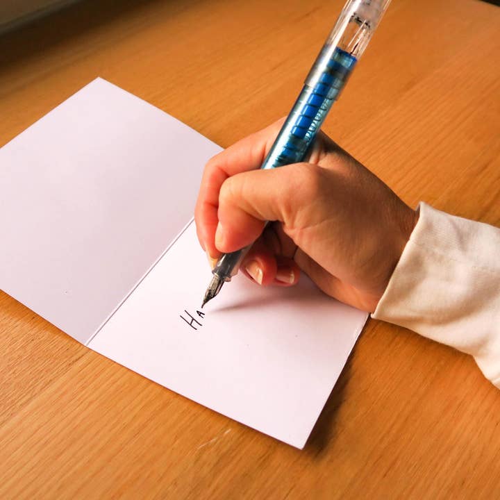 Sunshine Sea Art - Wholesale Birthday Card - Ibis Greeting Card Australian Bird Birthday Bin Chicken Card6