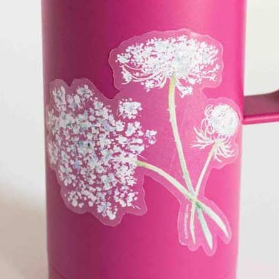 Queen Anne's Spitzenaufkleber für den Großhandel von Octavia Spriggs Fine Art