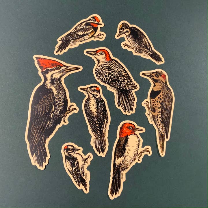 Solstice Handmade - Wholesale Sticker - Pileated Woodpecker Sticker