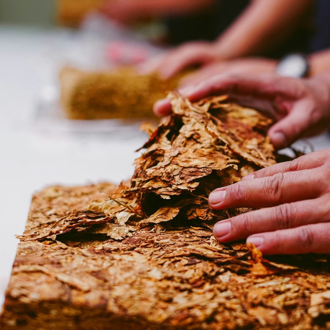 Blackmarket - Wholesale Hand soap/wash - SINGLE REFILL in Cocktail Bar18