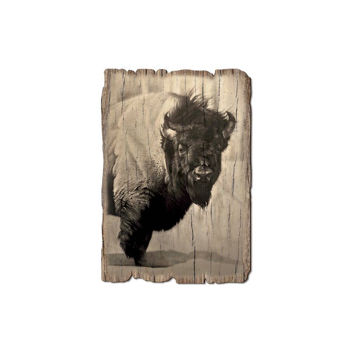 DaydreamHQ - Wholesale Postcard - Icon Bison - Wood Rustic Edge Postcards & Magnets1