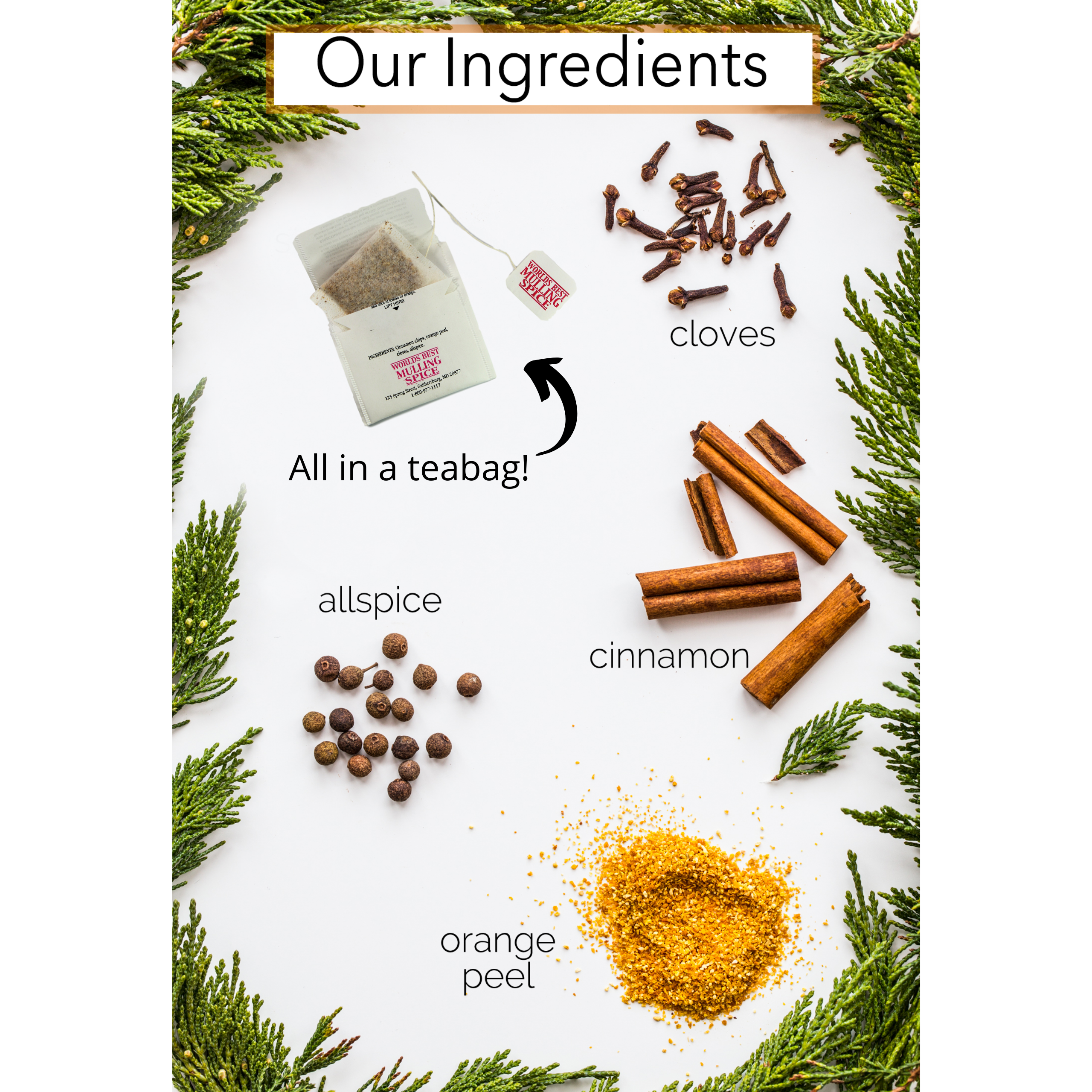 Olde Tradition Spice - Vente Épices pour vin chaud - Épices à vin chaud – Sachets de thé pour cidre et vin, 100 % naturels2