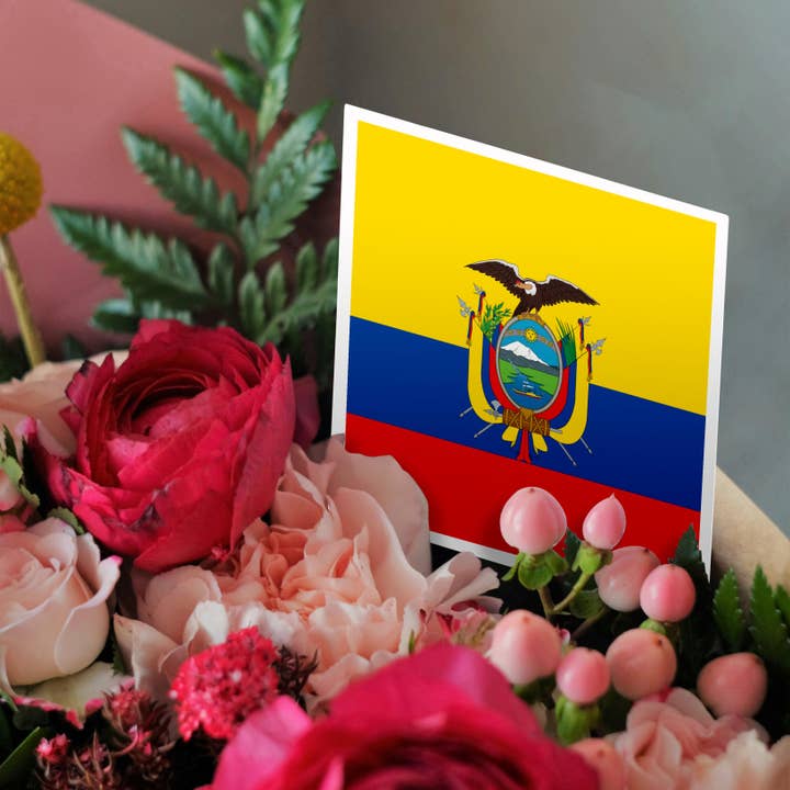 3dRose - Wholesale Everyday Greeting Card - 3dRose, Flag of Ecuador - South America American - Ecuadorian yellow blue red - condor bird coat of arms, Greeting Card2