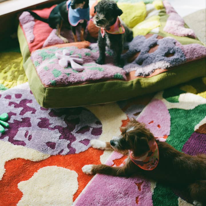 ProbaHome - Wholesale Pet Bed - Cat/Dog - "Sam's" Bed2