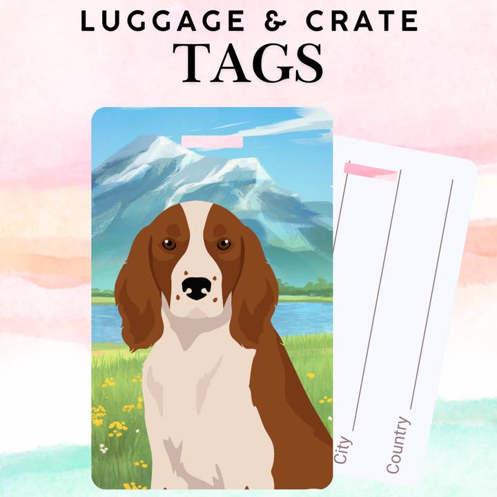 Welsh Springer Spaniel Dog Metal Luggage/ Crate Tag for wholesale by Canine Companions