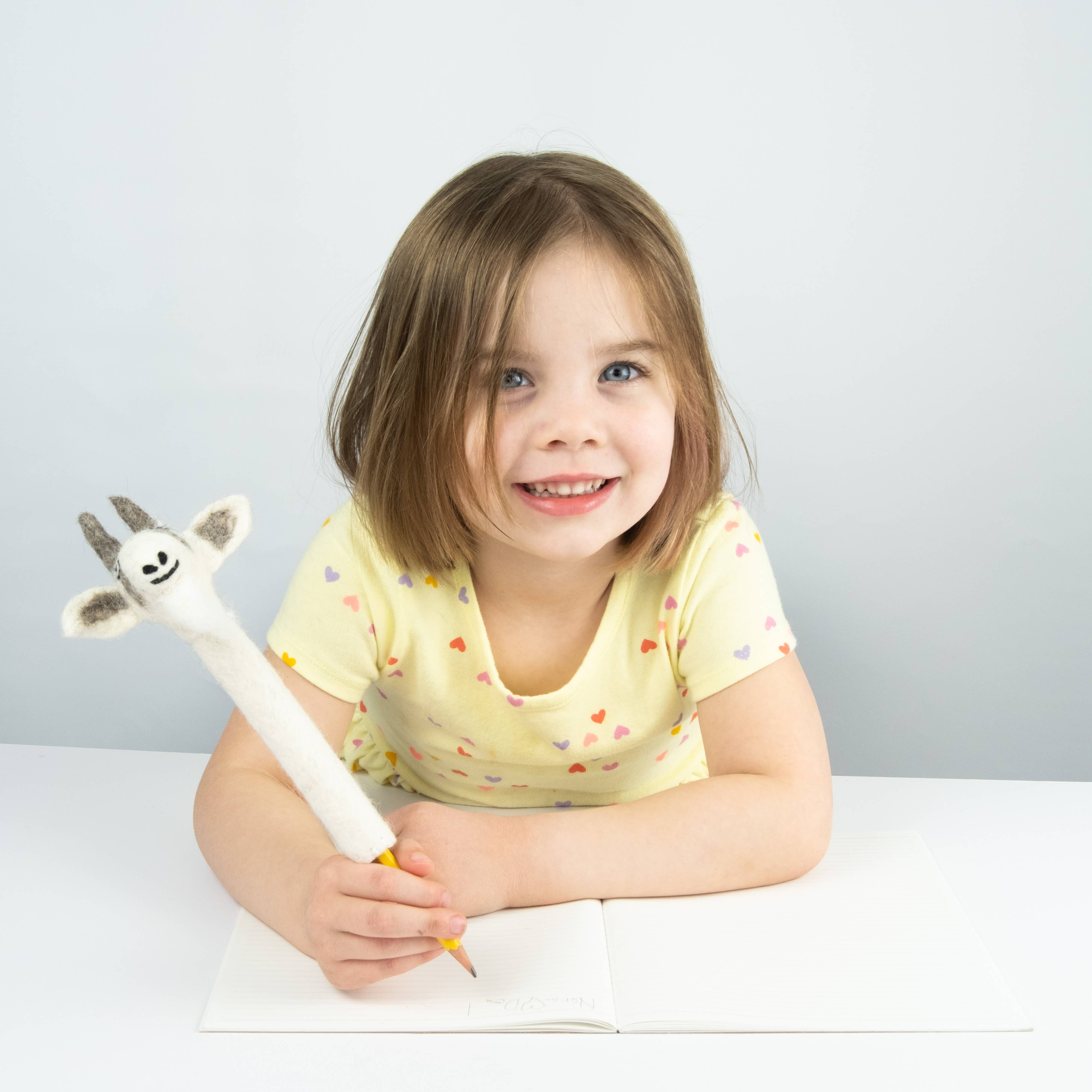 The Winding Road – wholesale Pencil topper – Child – Pencil Topper - Goat1