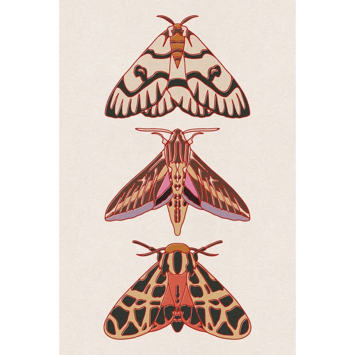 Three Moth 12"x18" Print for wholesale by Caroline Clark