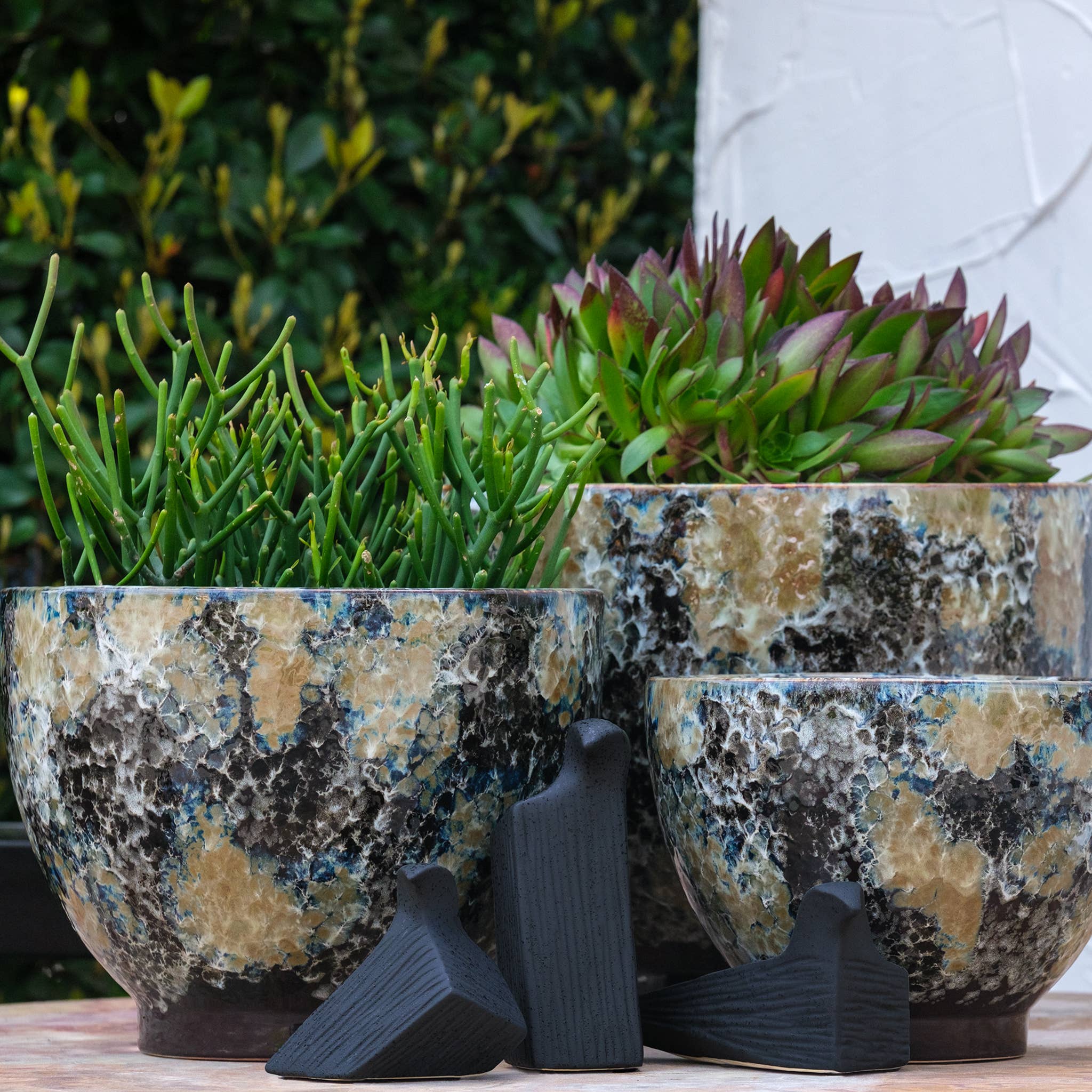 Kavana Decor by The Import Collection - Wholesale Decorative Figurine - Zazu Bird Figurines -Set 32