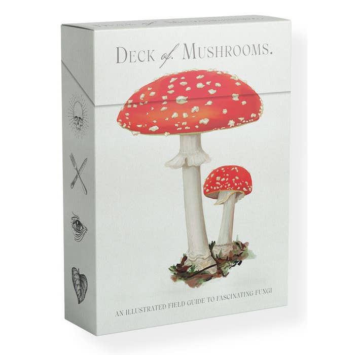 Penguin Random House LLC - Wholesale Fantasy - The Deck of Mushrooms