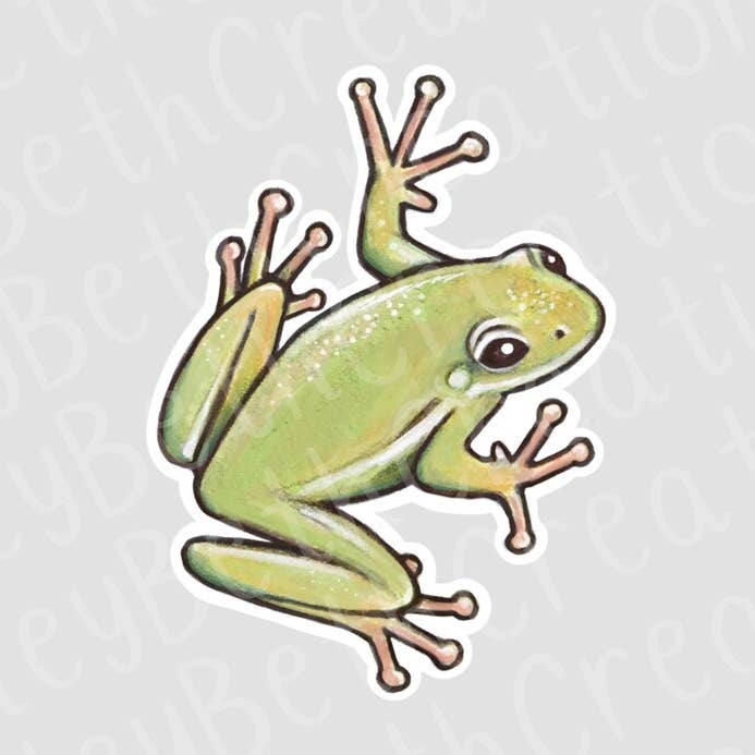 Green Frog Sticker | Waterproof Sticker | Nature Sticker for wholesale by CarleyBethCreations