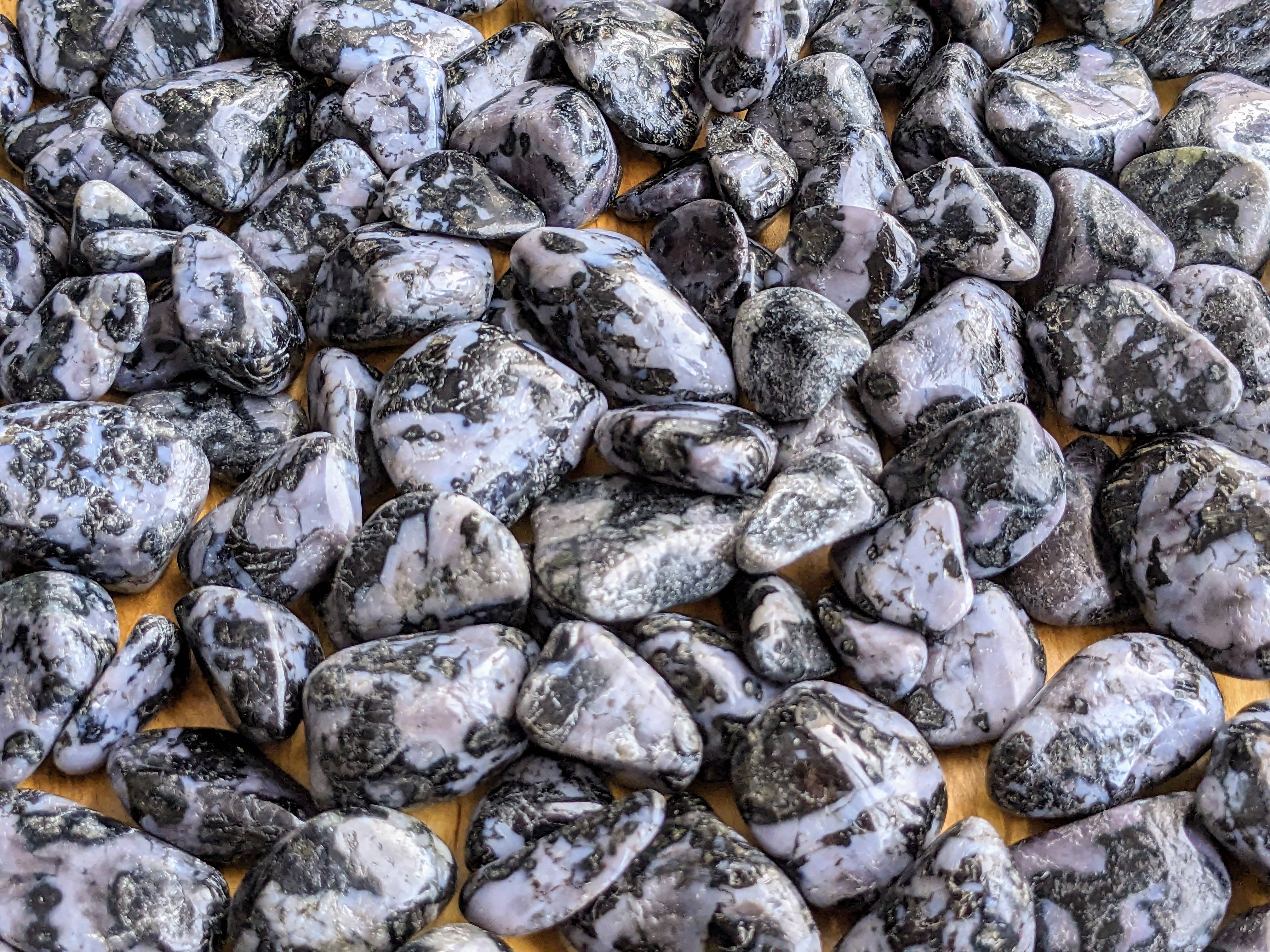 Jensen Rocks - Wholesale Spiritual Stone/Crystal - Indigo Gabbro Tumbled Stones - 1-6 LB Lots2
