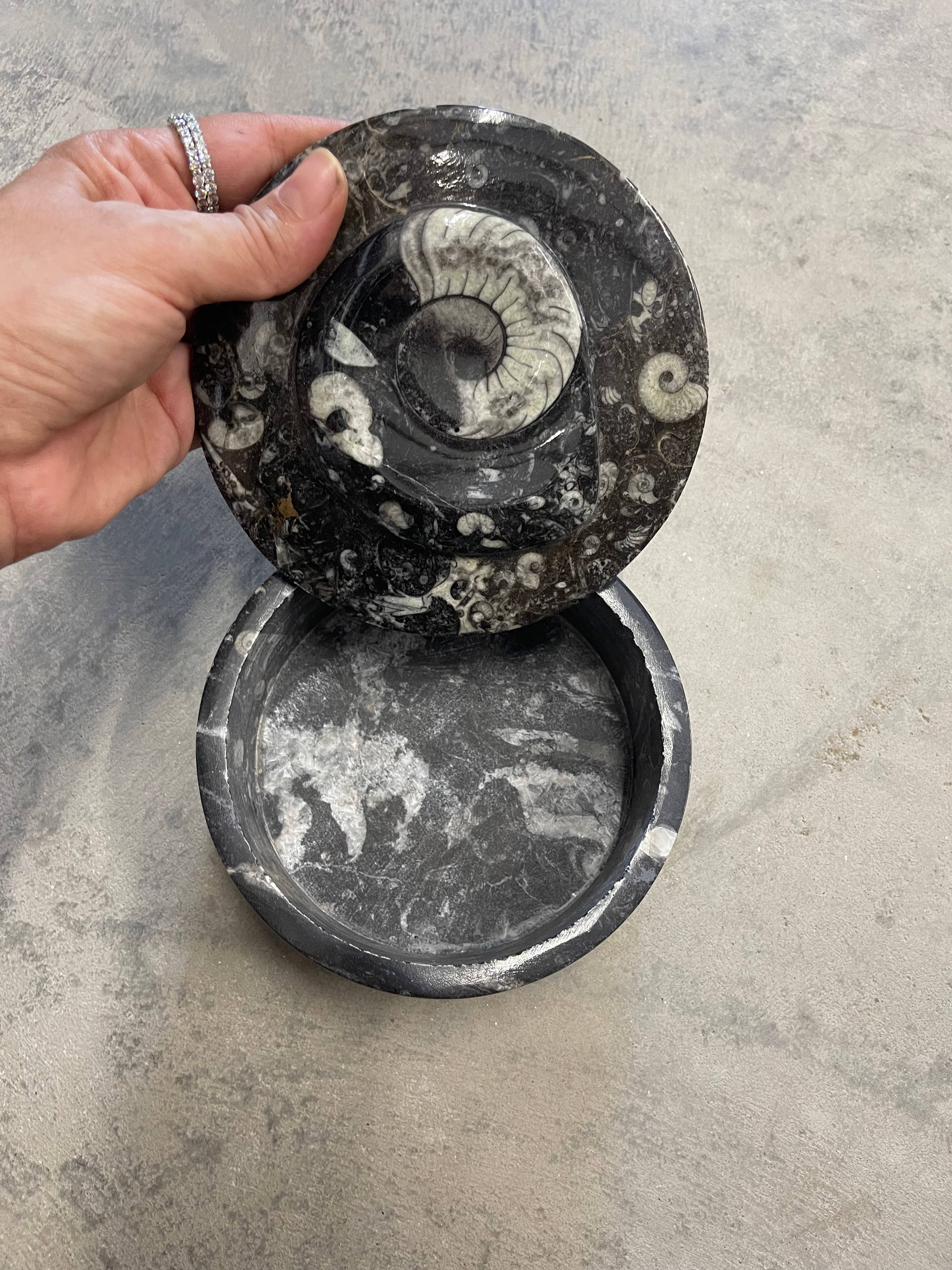 Casablanca Exports - Wholesale Decorative Box - XXL Extra Extra Large Round Fossil Boxes 1